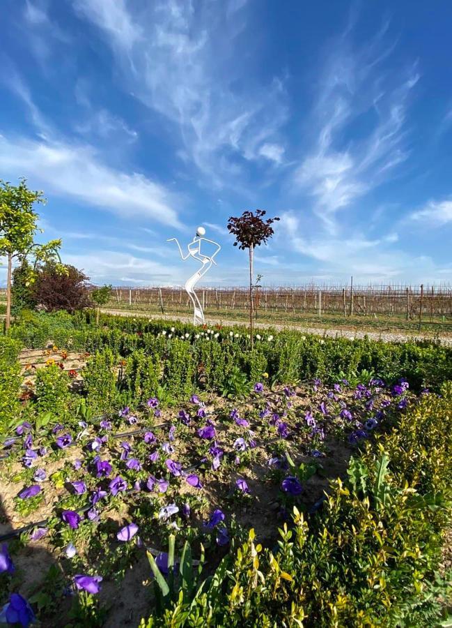 Uzumfermer Hotel & Winery ทาชเคนต์ ภายนอก รูปภาพ